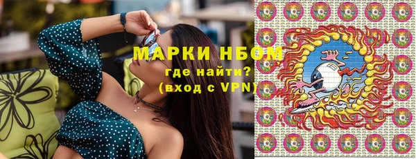 спиды Богородицк