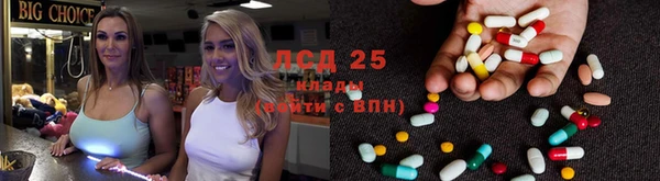 экстази Богданович