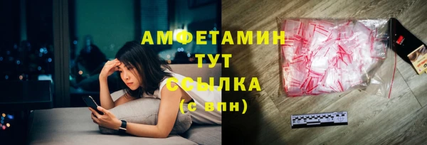 спиды Богородицк