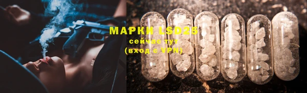 спиды Богородицк
