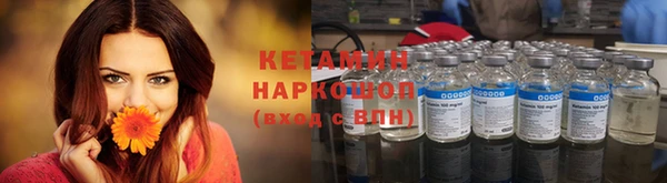спиды Богородицк