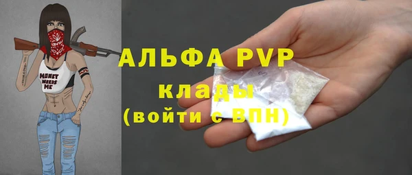 экстази Богданович