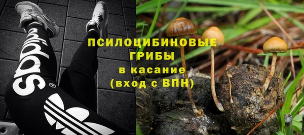 экстази Богданович