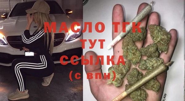 спиды Богородицк