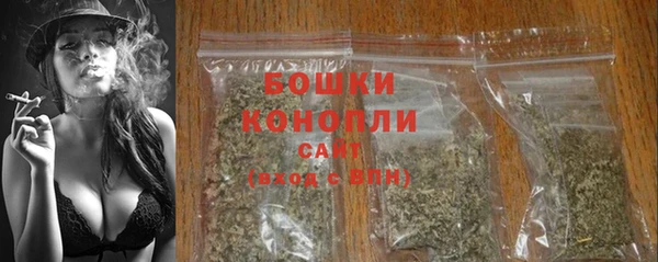 спиды Богородицк